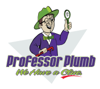 Professor Plumb