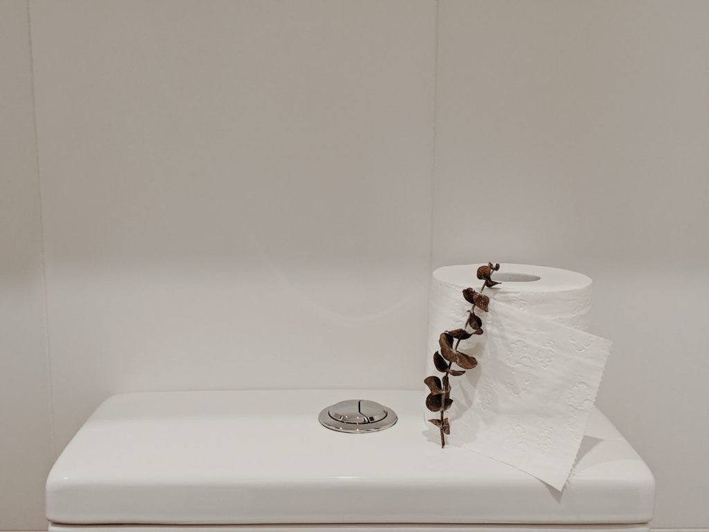 toilet